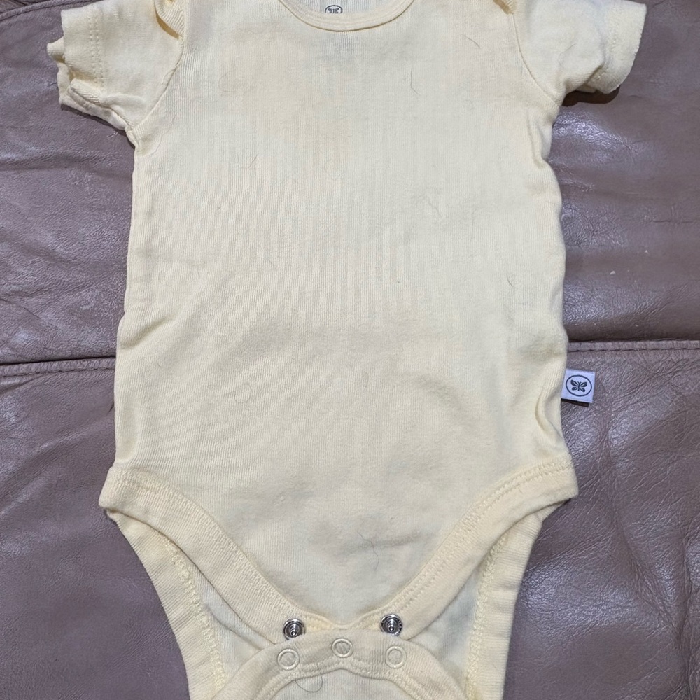 Lot of Honest 0-3 M Honest onesies